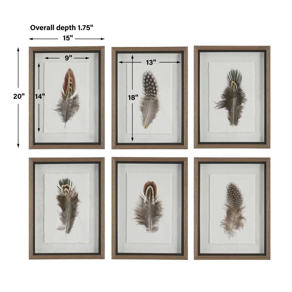 Birds of a Feather Framed Prints, Set of 6