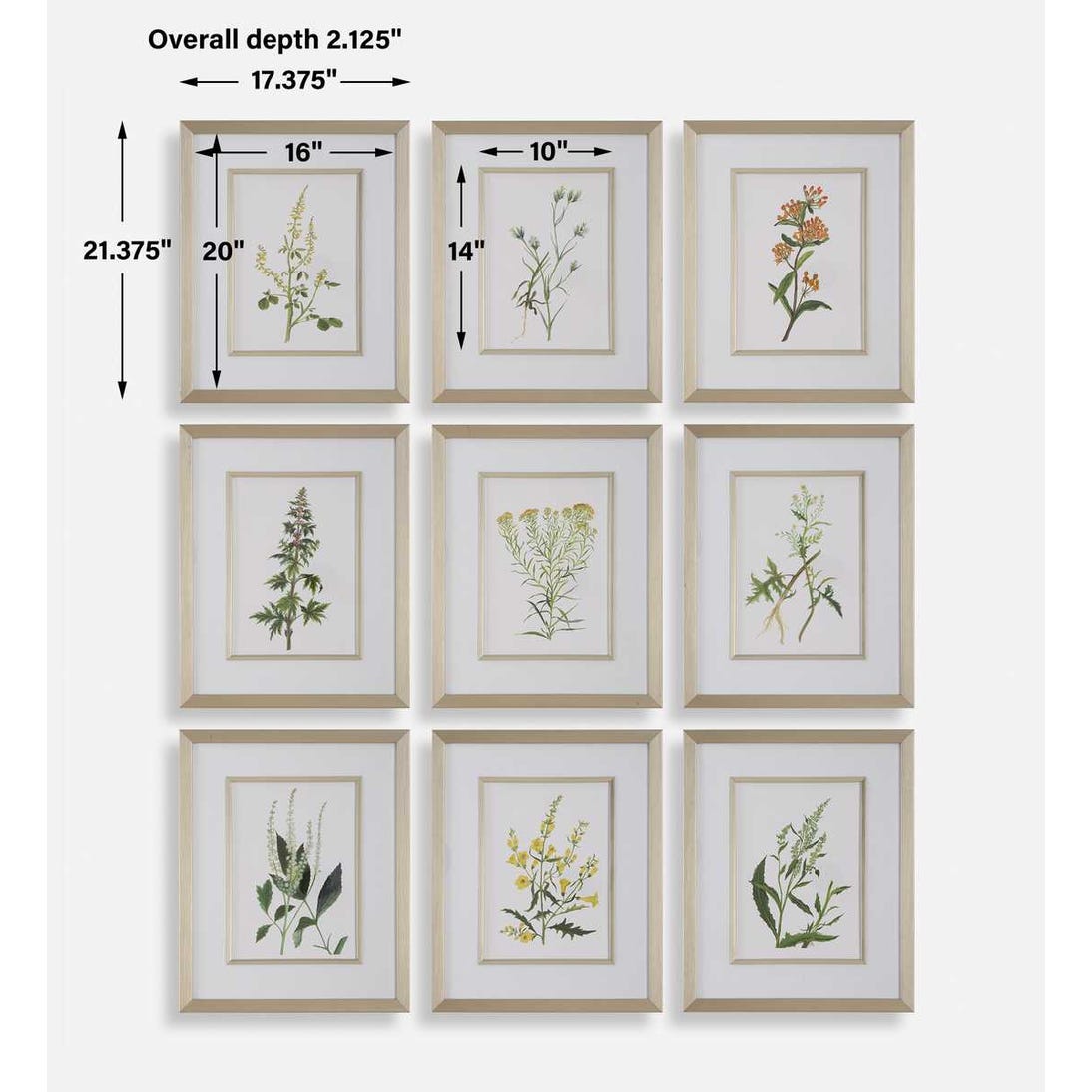 Botanical Flowers Framed Prints, Set of 9