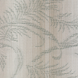 Fern Dance