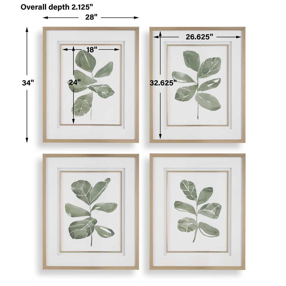 Fiddle Head Leaf Framed Prints, Set of 4