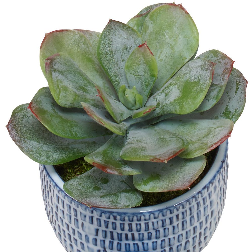 Puebla Greenery, Set of 3