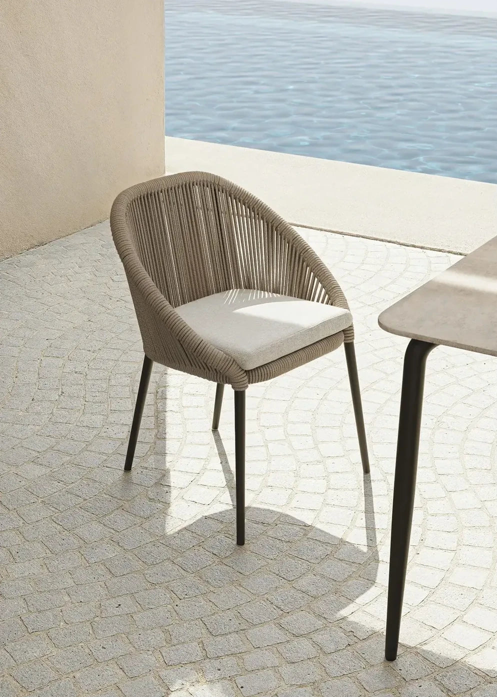Rodona Dining Chair Armchair