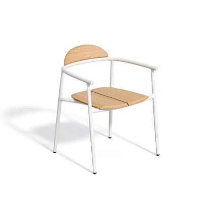 Ario Armchair
