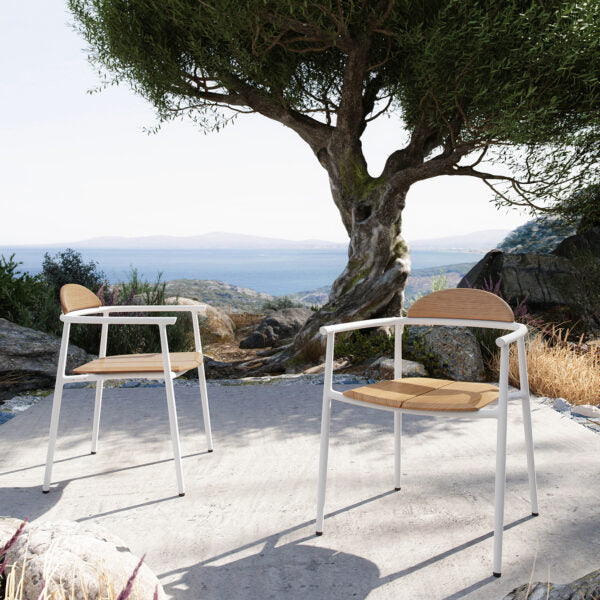 Ario Armchair