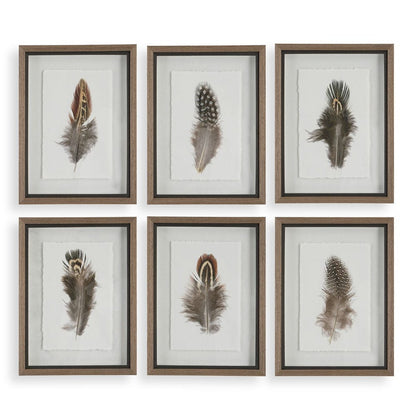 Birds of a Feather Framed Prints, Set of 6