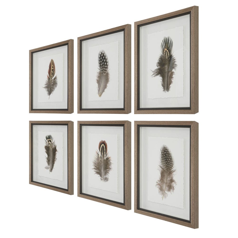 Birds of a Feather Framed Prints, Set of 6