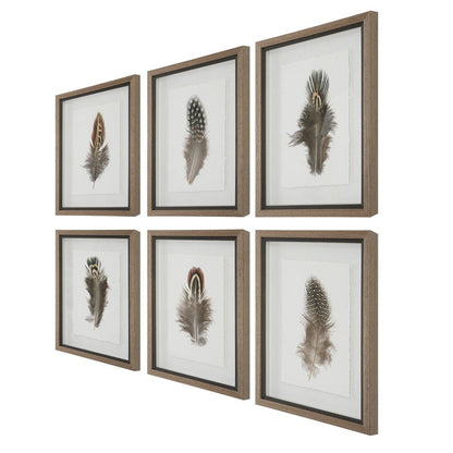 Birds of a Feather Framed Prints, Set of 6