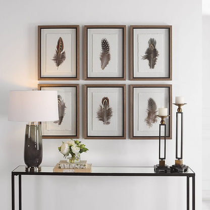 Birds of a Feather Framed Prints, Set of 6