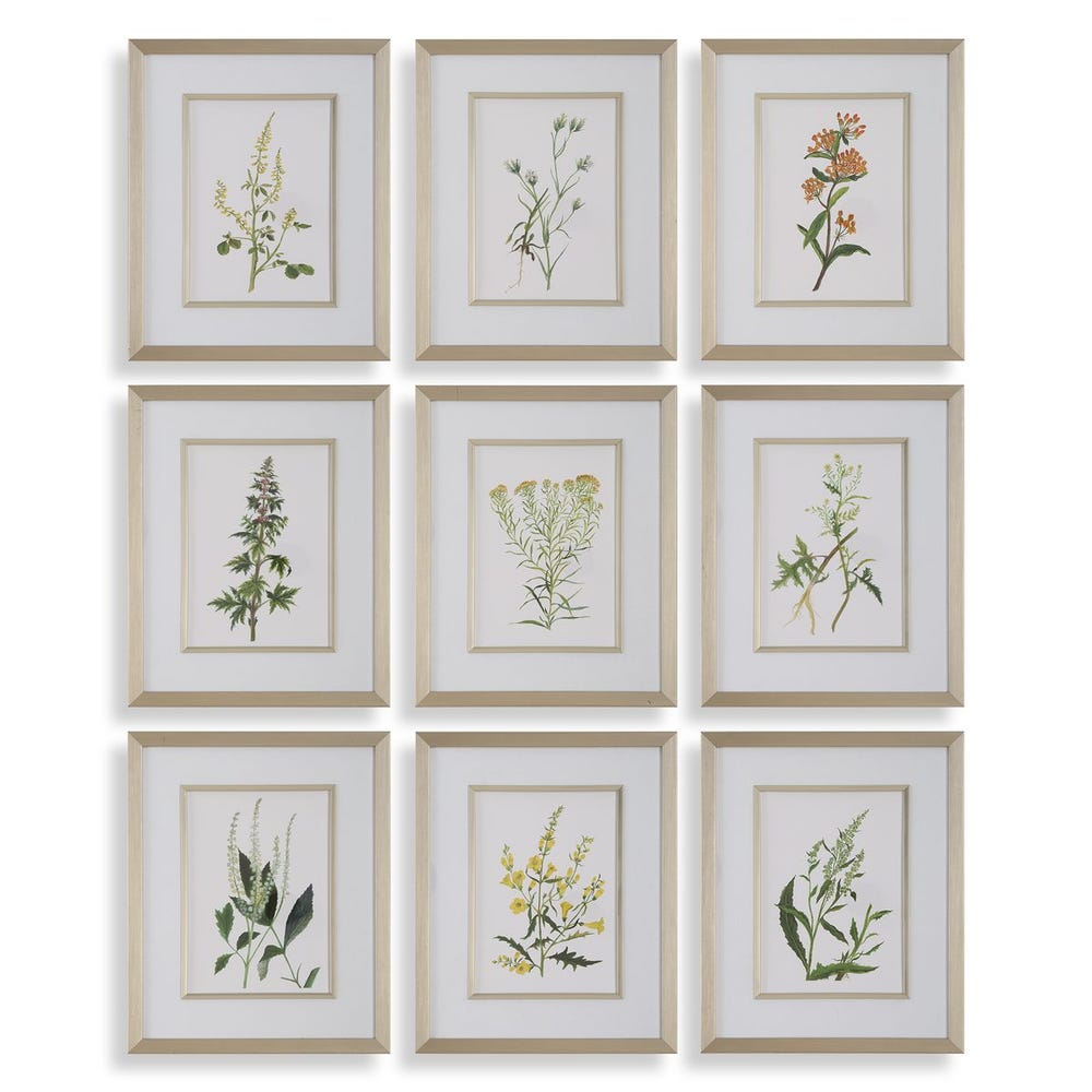 Botanical Flowers Framed Prints, Set of 9