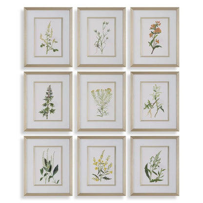 Botanical Flowers Framed Prints, Set of 9