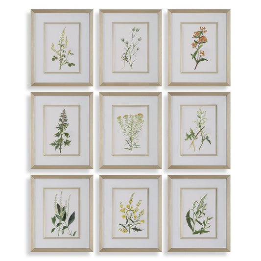 Botanical Flowers Framed Prints, Set of 9