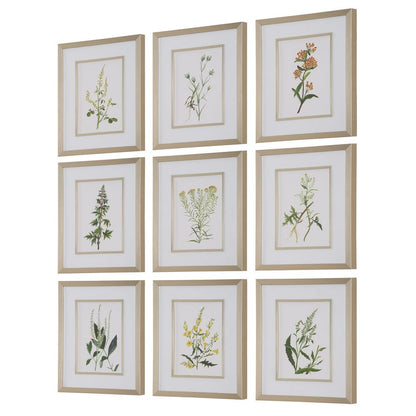 Botanical Flowers Framed Prints, Set of 9