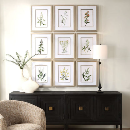 Botanical Flowers Framed Prints, Set of 9