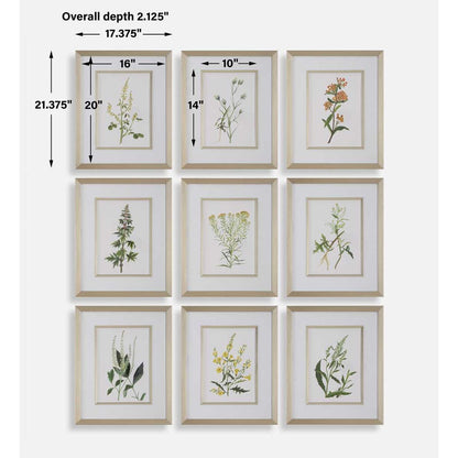Botanical Flowers Framed Prints, Set of 9
