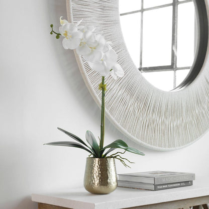 Cami Orchid