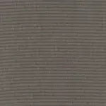 Canvas Coal