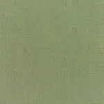 Canvas Fern