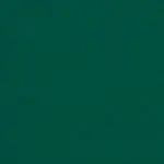 Canvas Forest Green