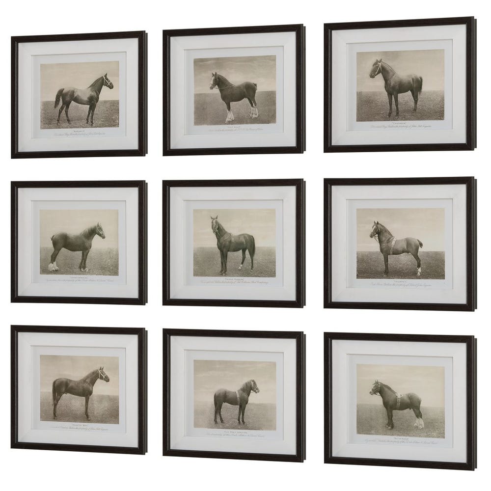 Equine Dynasty Framed Prints, Set of 9