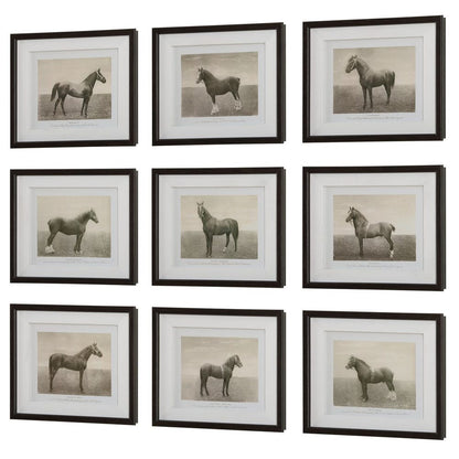 Equine Dynasty Framed Prints, Set of 9