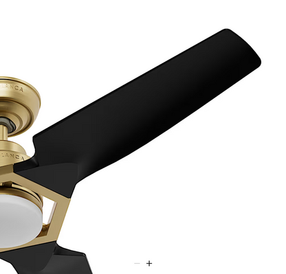 Hunter Casablanca Eula Outdoor ENERGY STAR DC With LED Light 52"