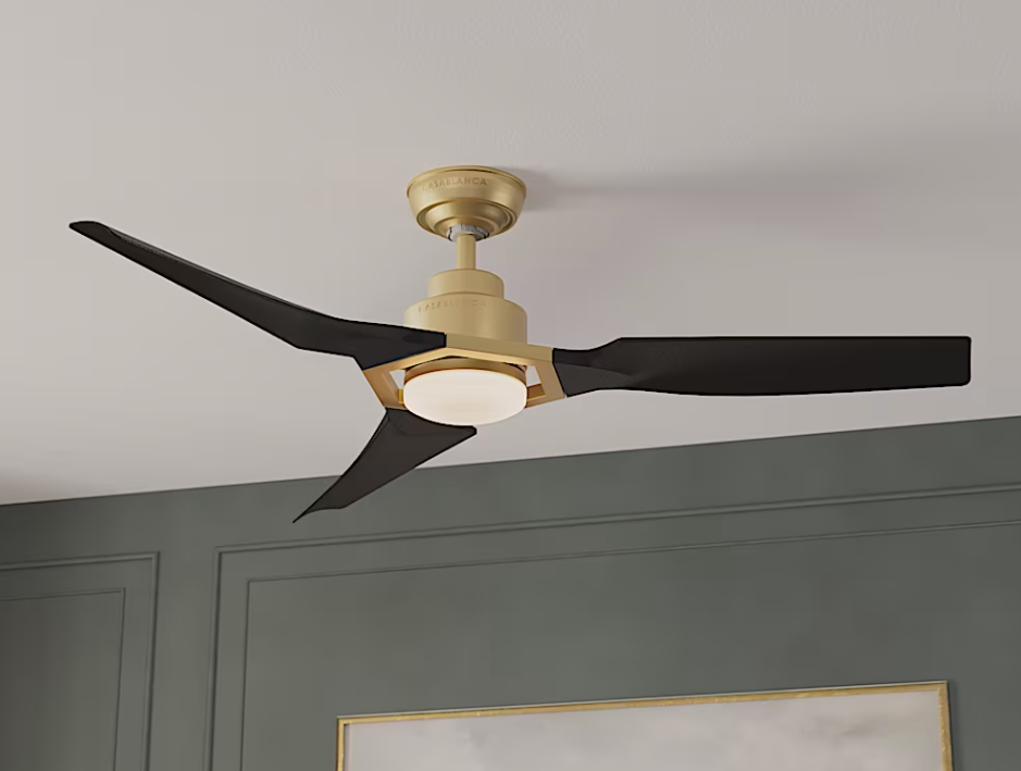 Hunter Casablanca Eula Outdoor ENERGY STAR DC With LED Light 52"