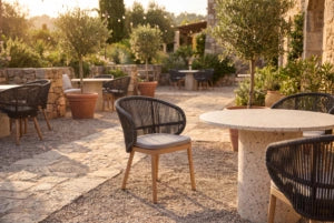 FLS Jumbo Dining Armchair