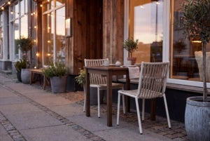 FLS Loop Dining Side Chair
