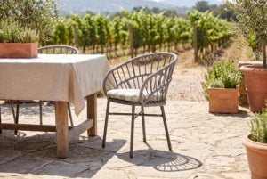 FLS Nest Dining Chair