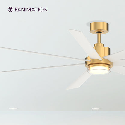 Pendry™ 72