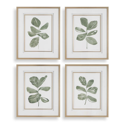 Fiddle Head Leaf Framed Prints, Set of 4