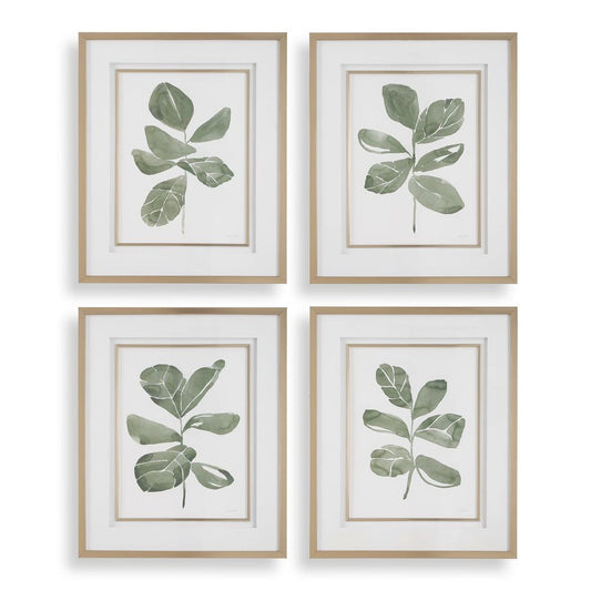 Fiddle Head Leaf Framed Prints, Set of 4