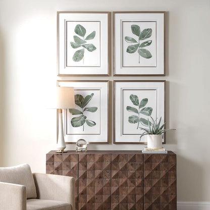 Fiddle Head Leaf Framed Prints, Set of 4