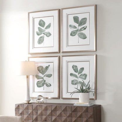 Fiddle Head Leaf Framed Prints, Set of 4