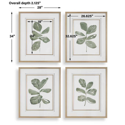 Fiddle Head Leaf Framed Prints, Set of 4