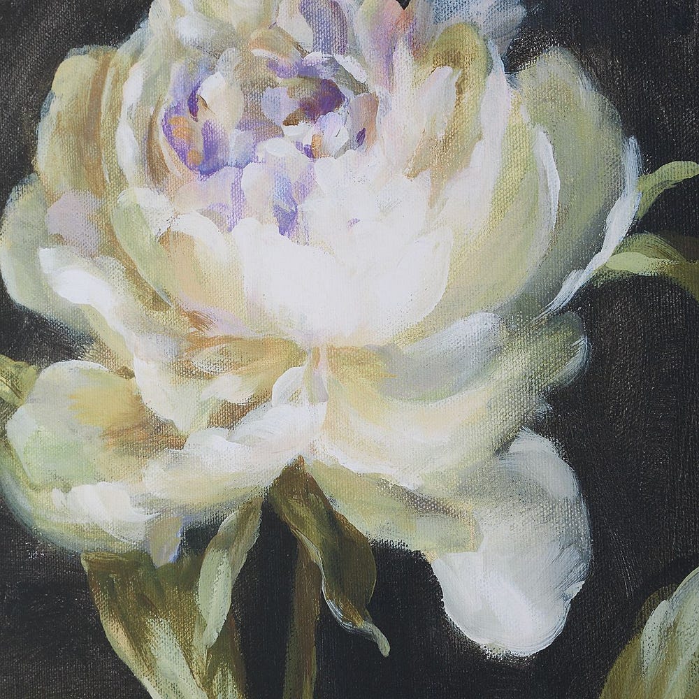 Florals on Black Framed Prints, Set of 4