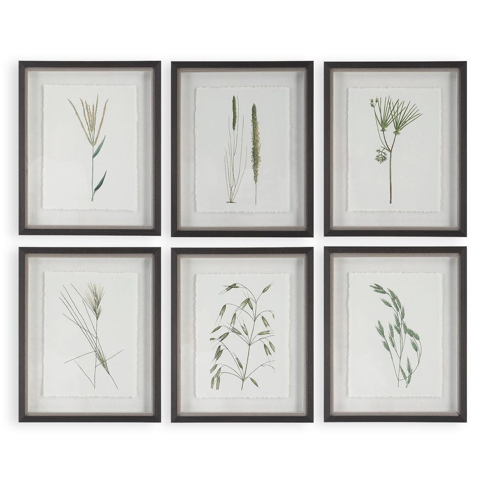 Forest Finds Framed Prints, Set of 6