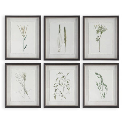 Forest Finds Framed Prints, Set of 6