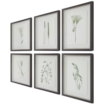 Forest Finds Framed Prints, Set of 6
