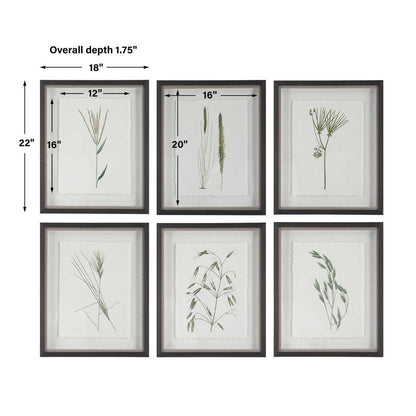 Forest Finds Framed Prints, Set of 6