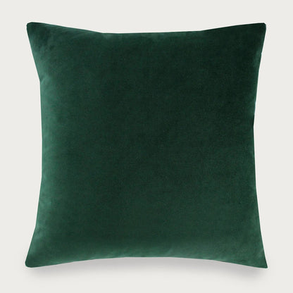 Ginetta 18X18 Pillow
