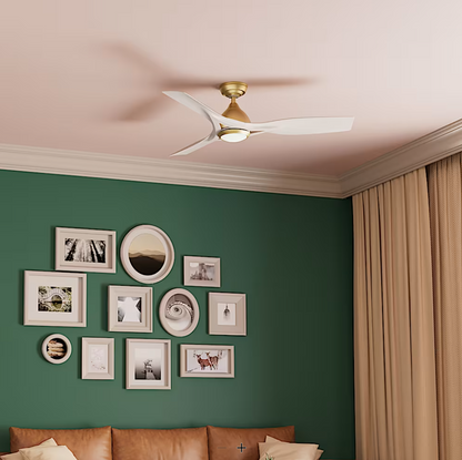 Hunter Casablanca Elise Outdoor ENERGY STAR DC with LED Light 54"