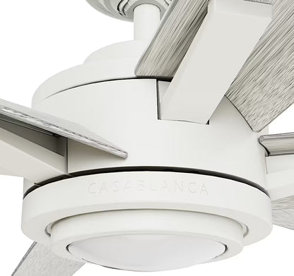 Hunter Casablanca Melia Outdoor ENERGY STAR DC with LED Light 65"