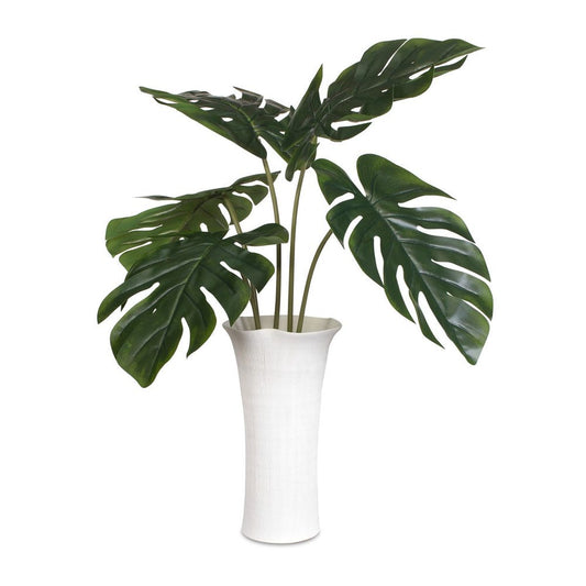 Muse Monstera Centerpiece