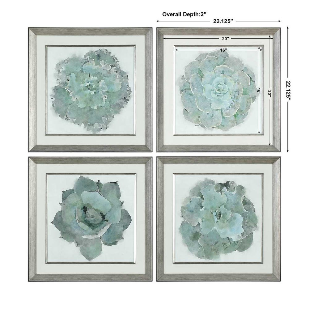 Natural Beauties Framed Prints, Set of 4