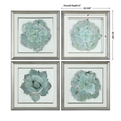 Natural Beauties Framed Prints, Set of 4