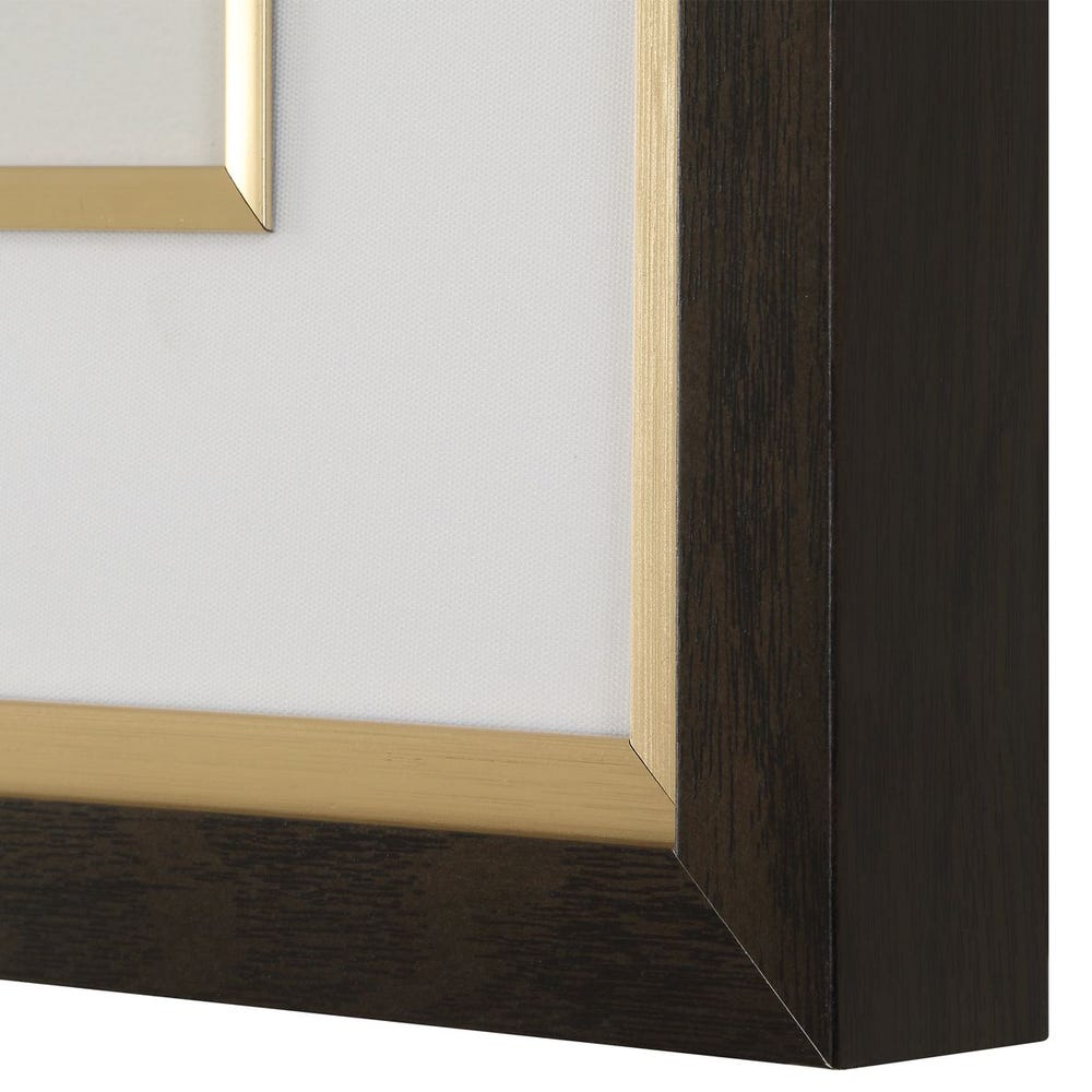 Orchid Botanical Framed Prints, Set of 6