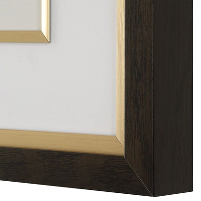 Orchid Botanical Framed Prints, Set of 6