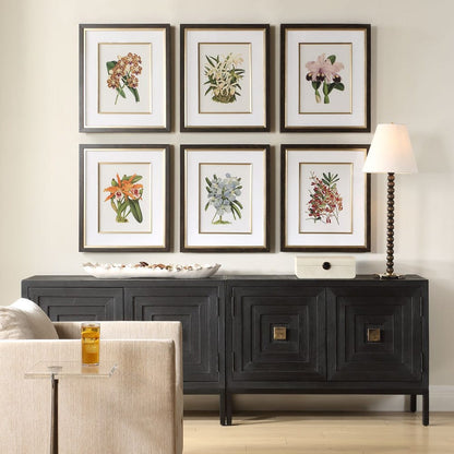 Orchid Botanical Framed Prints, Set of 6