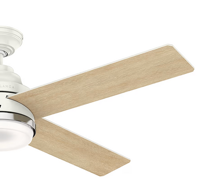 Hunter Casablanca Daphne with LED Light 54"